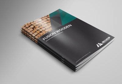 深圳企業(yè)畫冊設計的成功之道 時間與形象策劃并重